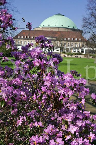 Stadtpark 2