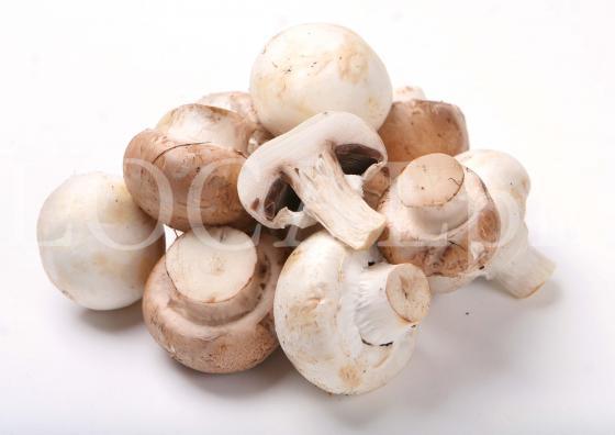 Food Pilz 4