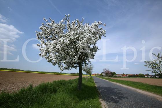 Wetter 161