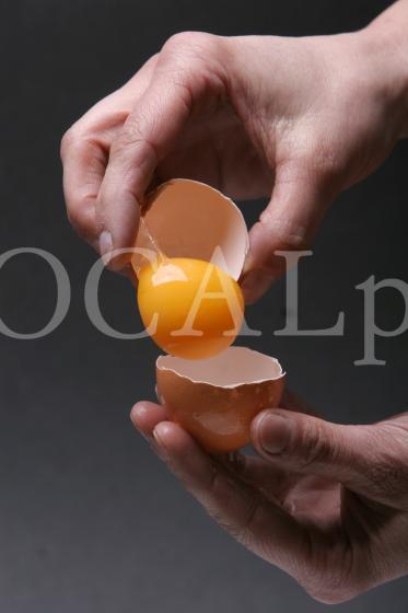 Food 7