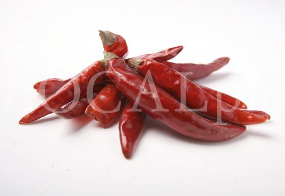 Food 22