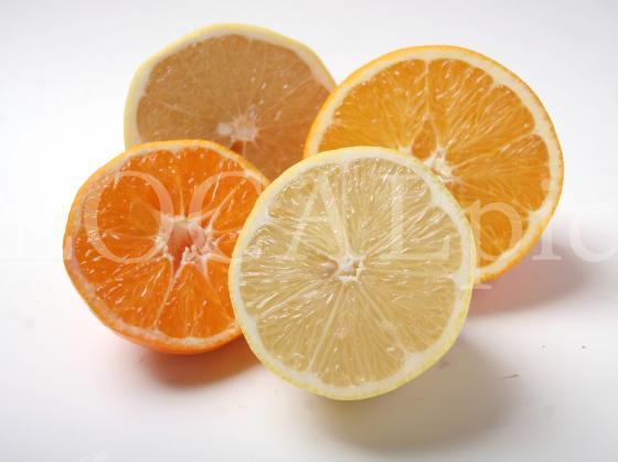 Food 26