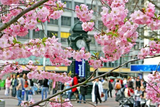 Wetter 17