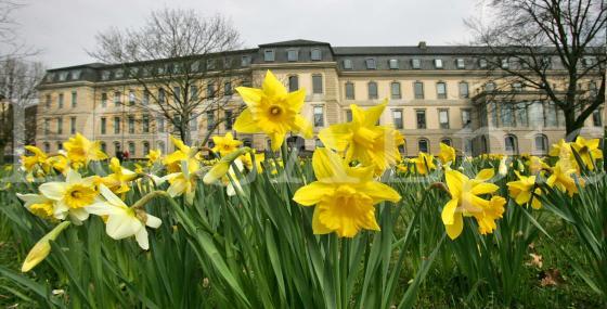 Natur 15