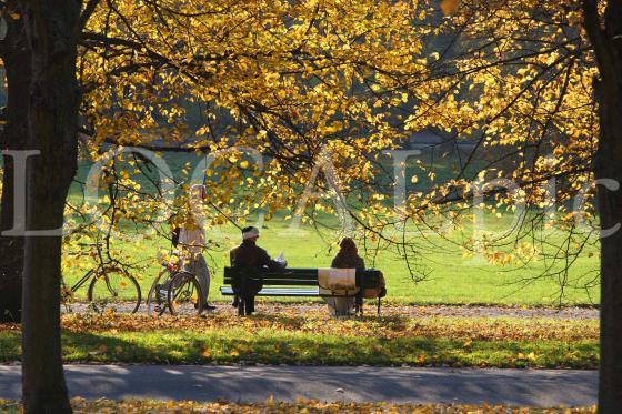 Herbst 9