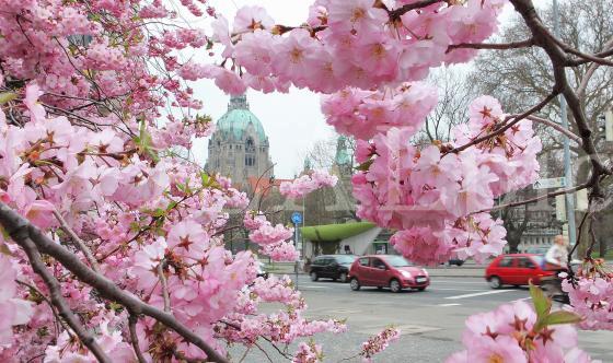 Wetter 313