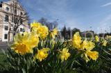 Wetter 2011 01