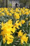 Wetter 2011 02
