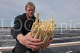 Spargel 2011 05