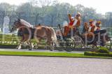 Herrenhausen 2011 15