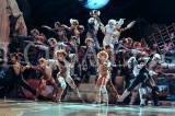 Cats 2011 21