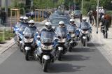 Bundespr�sident 2011 20