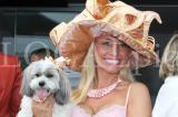 Ascot 2011 43