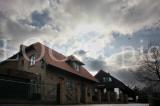 Wulff 2012 105