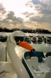 Maschsee 18