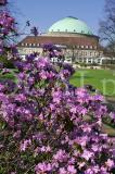 Stadtpark 2