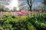 Wetter 50