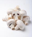 Food 66