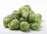 Food 69