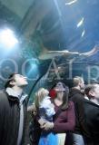 Sealife 10