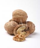 Food 81