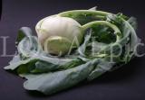 Food 93