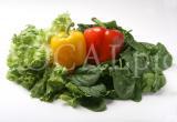 Food 95