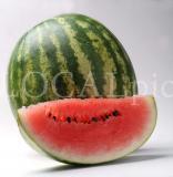 Food 97