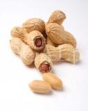 Food 104