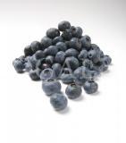 Food 110