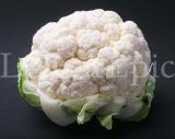 Food 112