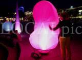 Expo 2000 362