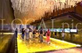 Expo 2000 431