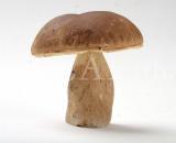 Food Pilz 1