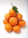 Food 120