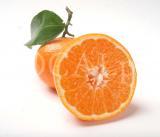 Food 121