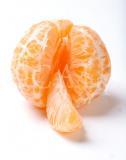Food 122