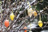 Wetter 128