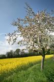 Wetter 139
