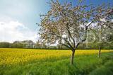 Wetter 140