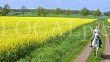 Wetter 143