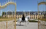 Herrenhausen 81