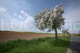 Wetter 146