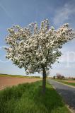 Wetter 155