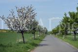 Wetter 159