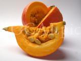 Food 4