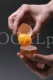 Food 7