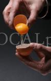 Food 8