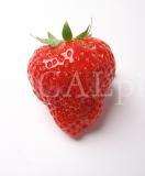Food 20