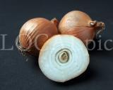 Food 25